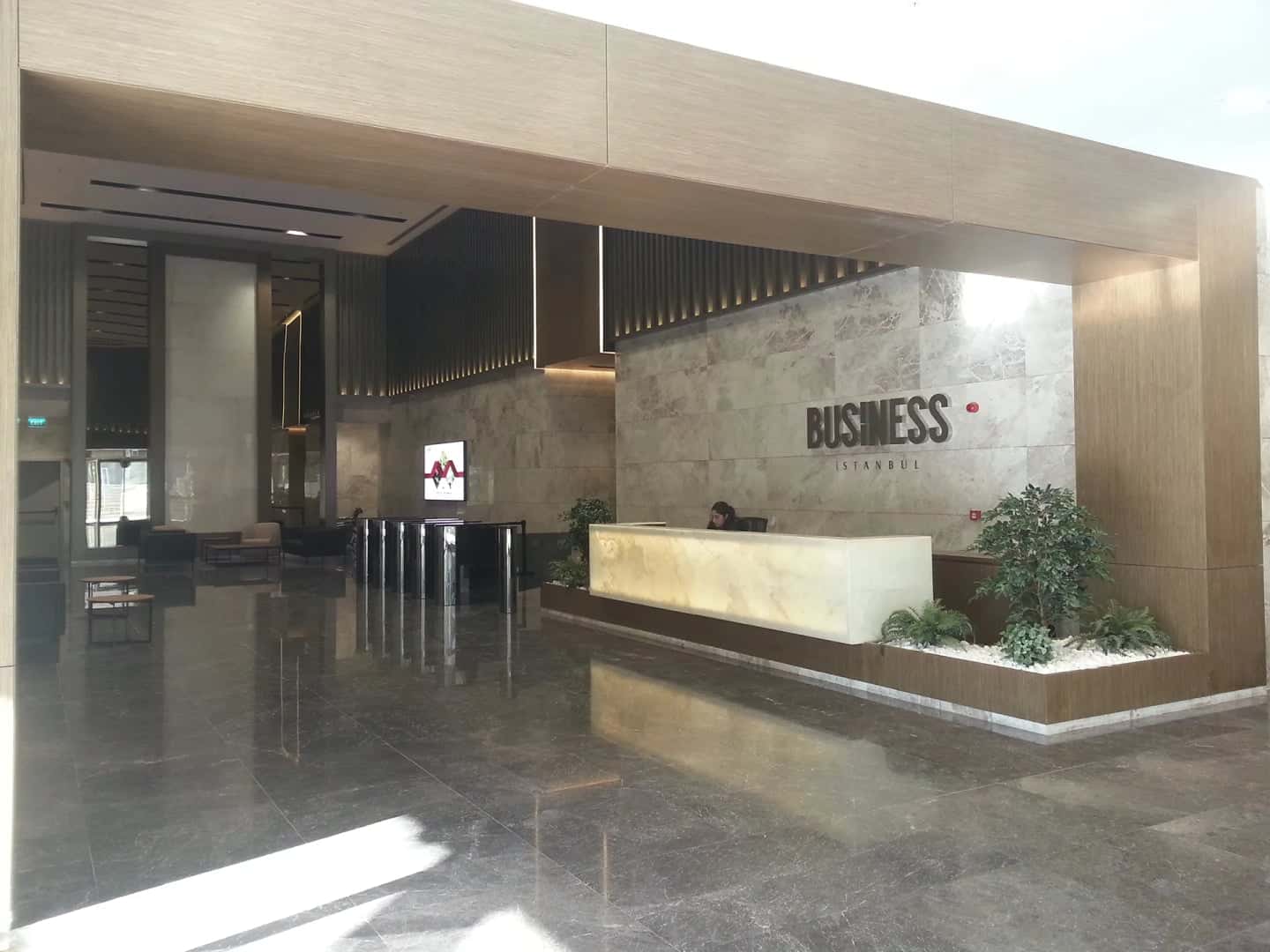 Business İstanbul — fotoğraf 2