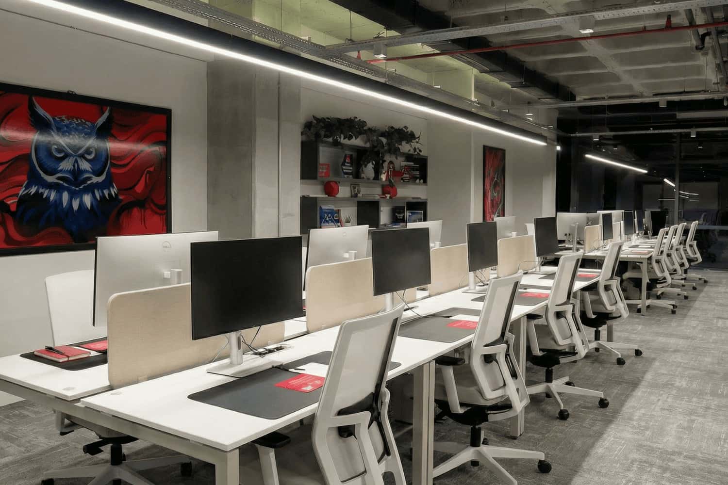 Ferko Signature - Fotoğraf 1