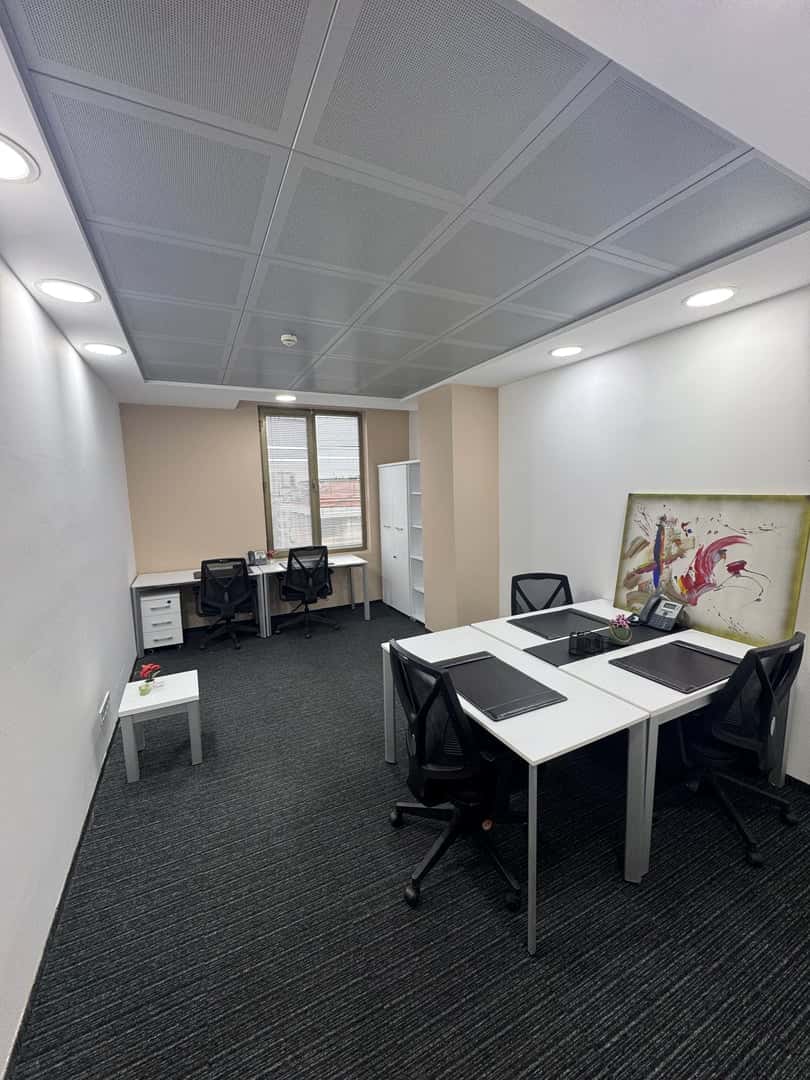 Malte Business Center - Hazır Ofis Maltepe - Fotoğraf 4